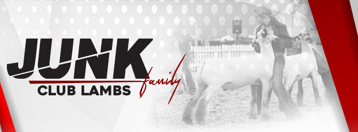 Junk Family Club Lambs